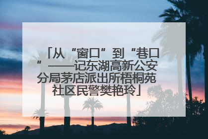 从“窗口”到“巷口”——记东湖高新公安分局茅店派出所梧桐苑社区民警樊艳玲