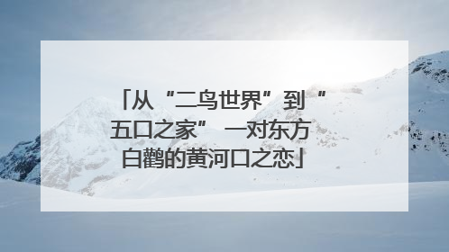 从“二鸟世界”到“五口之家” 一对东方白鹳的黄河口之恋