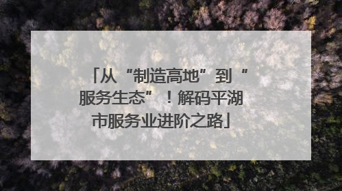 从“制造高地”到“服务生态”！解码平湖市服务业进阶之路