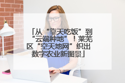 从“靠天吃饭”到“云端种地”！莱芜区“空天地网”织出数字农业新图景