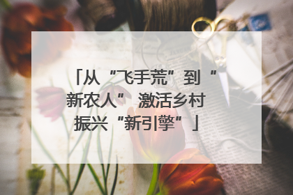从“飞手荒”到“新农人” 激活乡村振兴“新引擎”