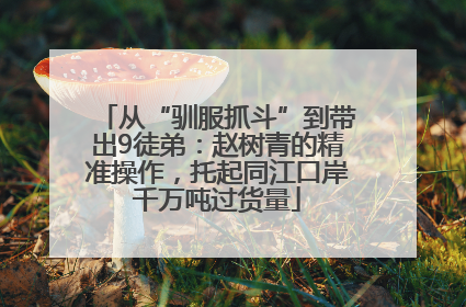 从“驯服抓斗”到带出9徒弟：赵树青的精准操作，托起同江口岸千万吨过货量