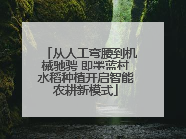 从人工弯腰到机械驰骋 即墨蓝村水稻种植开启智能农耕新模式