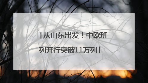 从山东出发！中欧班列开行突破11万列