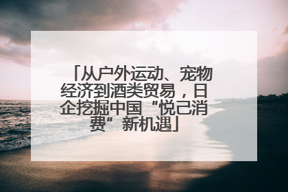 从户外运动、宠物经济到酒类贸易，日企挖掘中国“悦己消费”新机遇