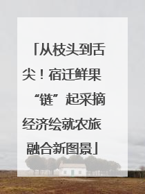 从枝头到舌尖！宿迁鲜果“链”起采摘经济绘就农旅融合新图景