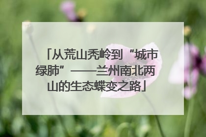 从荒山秃岭到“城市绿肺”——兰州南北两山的生态蝶变之路