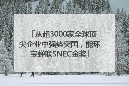 从超3000家全球顶尖企业中强势突围，能环宝蝉联SNEC金奖