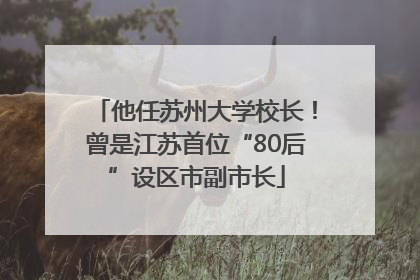 他任苏州大学校长！曾是江苏首位“80后”设区市副市长