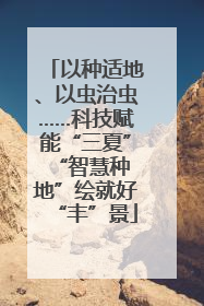 以种适地、以虫治虫……科技赋能“三夏” “智慧种地”绘就好“丰”景