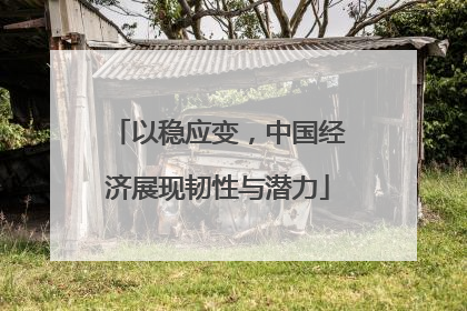 以稳应变，中国经济展现韧性与潜力