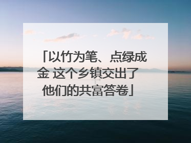 以竹为笔、点绿成金 这个乡镇交出了他们的共富答卷