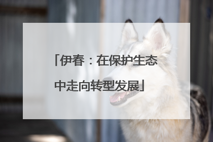 伊春：在保护生态中走向转型发展