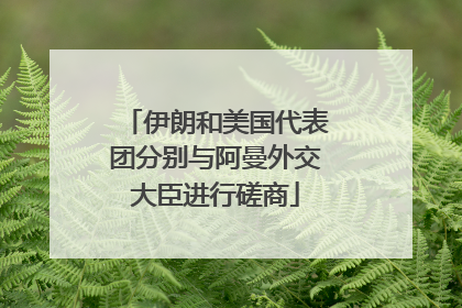 伊朗和美国代表团分别与阿曼外交大臣进行磋商