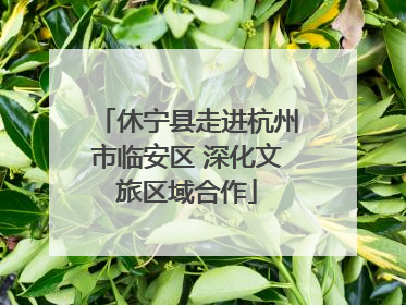 休宁县走进杭州市临安区 深化文旅区域合作