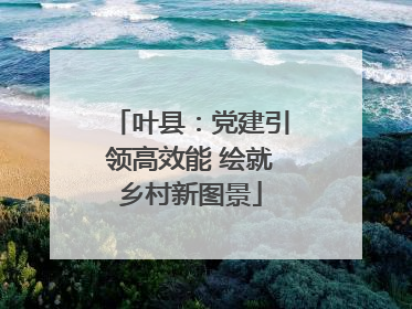 叶县：党建引领高效能 绘就乡村新图景