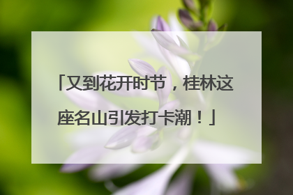 又到花开时节，桂林这座名山引发打卡潮！