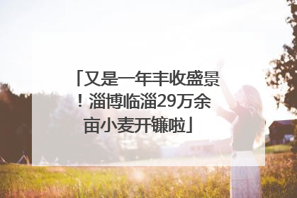又是一年丰收盛景！淄博临淄29万余亩小麦开镰啦
