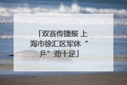 双赛传捷报 上海市徐汇区军休“乒”劲十足