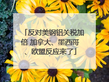 反对美钢铝关税加倍 加拿大、墨西哥、欧盟反应来了