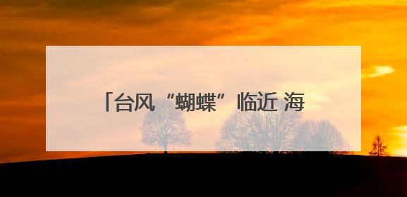 台风“蝴蝶”临近 海南四地发布停课通知