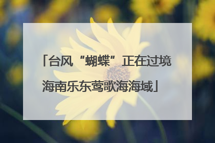台风“蝴蝶”正在过境海南乐东莺歌海海域
