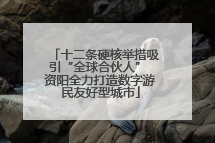 十二条硬核举措吸引“全球合伙人” 资阳全力打造数字游民友好型城市