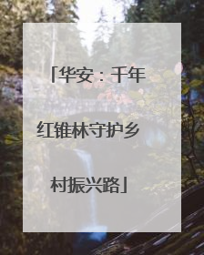 华安：千年红锥林守护乡村振兴路
