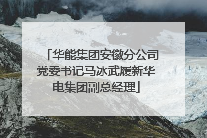 华能集团安徽分公司党委书记马冰武履新华电集团副总经理