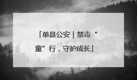 单县公安｜禁毒“童”行，守护成长
