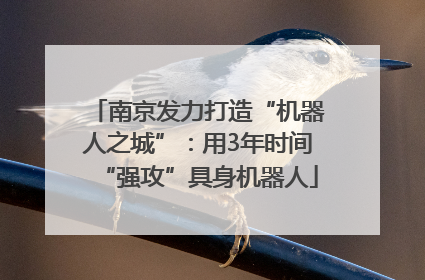 南京发力打造“机器人之城”：用3年时间“强攻”具身机器人