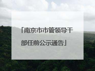 南京市市管领导干部任前公示通告