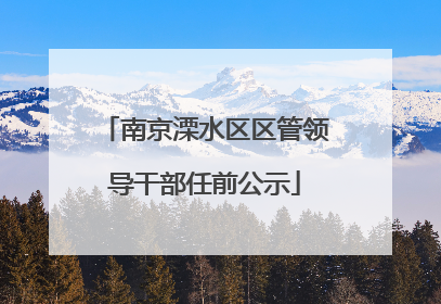 南京溧水区区管领导干部任前公示