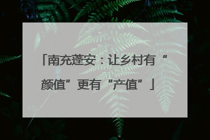 南充蓬安：让乡村有“颜值”更有“产值”