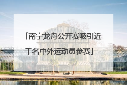 南宁龙舟公开赛吸引近千名中外运动员参赛