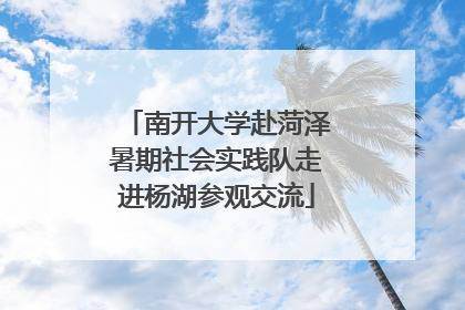 南开大学赴菏泽暑期社会实践队走进杨湖参观交流