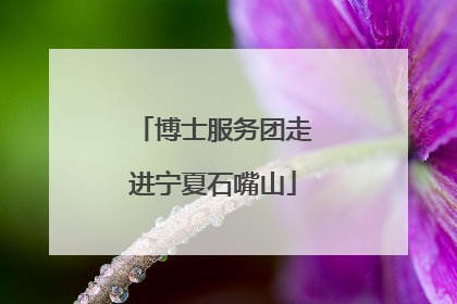 博士服务团走进宁夏石嘴山