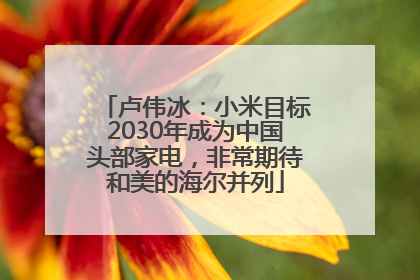 卢伟冰：小米目标2030年成为中国头部家电，非常期待和美的海尔并列