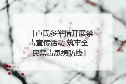 卢氏多举措开展禁毒宣传活动 筑牢全民禁毒思想防线