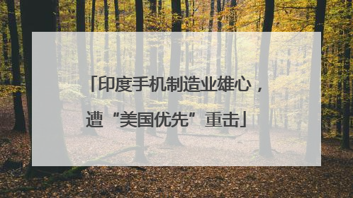 印度手机制造业雄心，遭“美国优先”重击