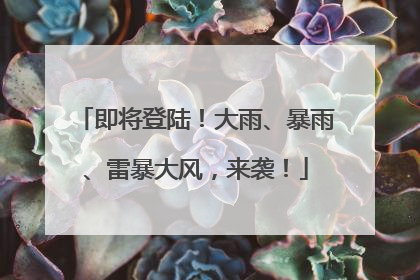 即将登陆！大雨、暴雨、雷暴大风，来袭！