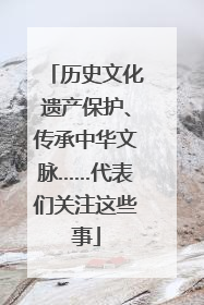 历史文化遗产保护、传承中华文脉……代表们关注这些事