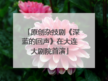原创杂技剧《深蓝的回声》在大连大剧院首演