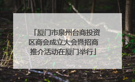 厦门市泉州台商投资区商会成立大会暨招商推介活动在厦门举行