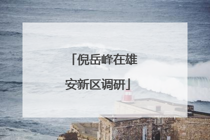 倪岳峰在雄安新区调研