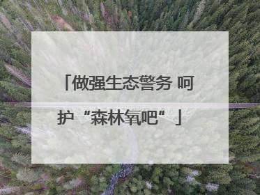 做强生态警务 呵护“森林氧吧”