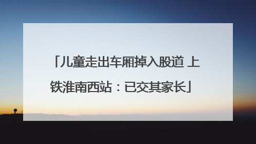 儿童走出车厢掉入股道 上铁淮南西站：已交其家长