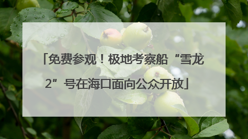 免费参观！极地考察船“雪龙2”号在海口面向公众开放
