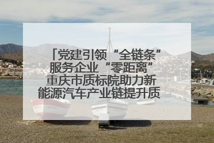 党建引领“全链条” 服务企业“零距离” 重庆市质标院助力新能源汽车产业链提升质量管理水平