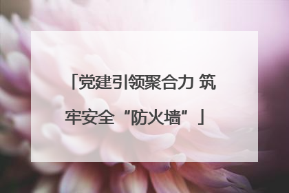 党建引领聚合力 筑牢安全“防火墙”
